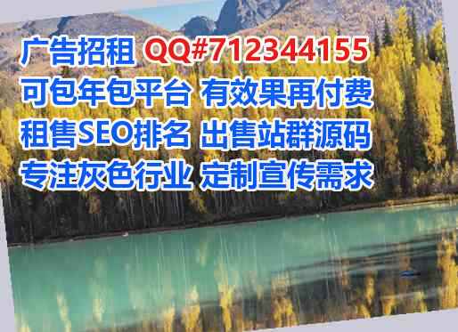 茂南代生网络科技事务所
